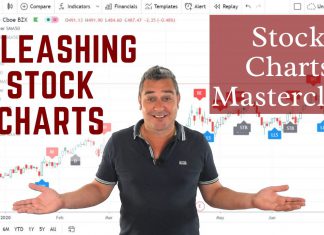 Class 8. Understanding Stock Charts, Bars & Candlesticks Understanding Stock Charts